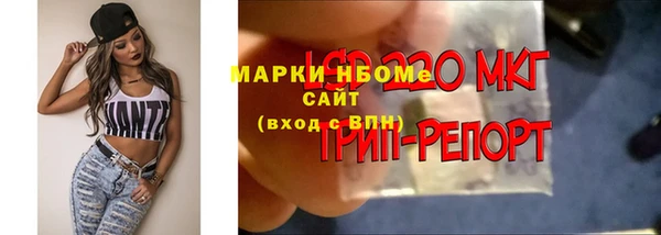гидра Волоколамск