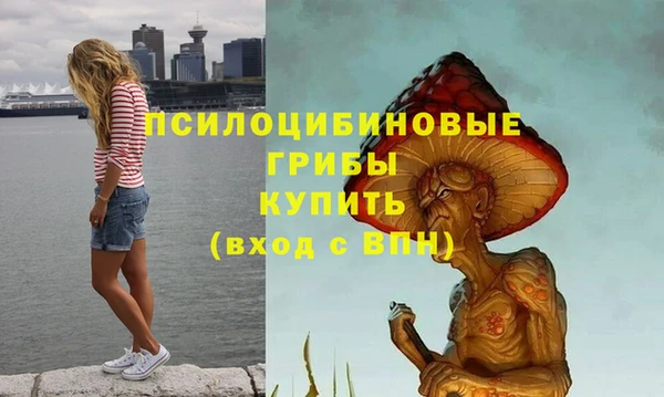 гидра Волоколамск