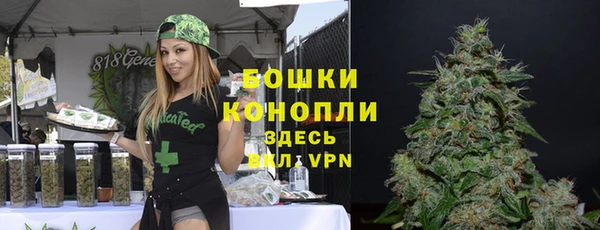 гидра Волоколамск