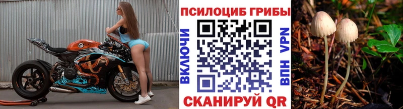 магазин  наркотиков  Ленинградская  Псилоцибиновые грибы мицелий 