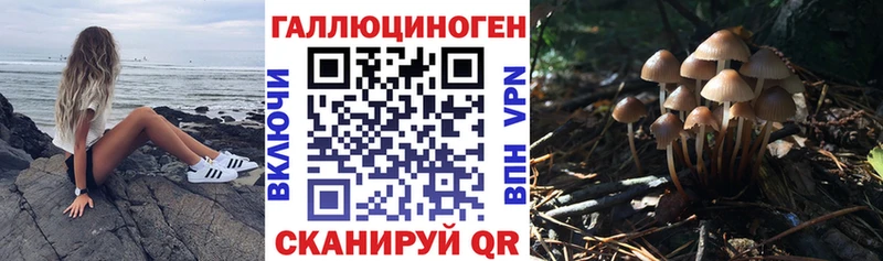 Галлюциногенные грибы прущие грибы Ленинградская